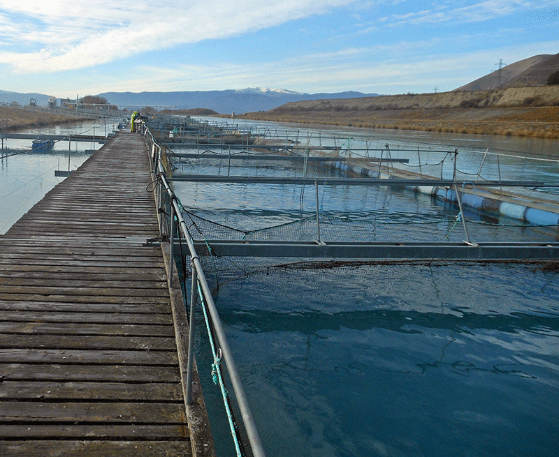 Aquaculture Net Making