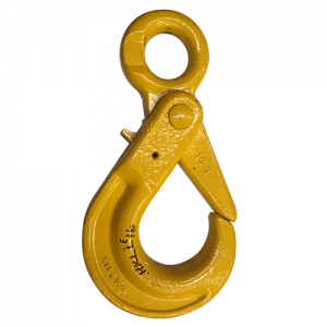 Latch Lock Eye Hook