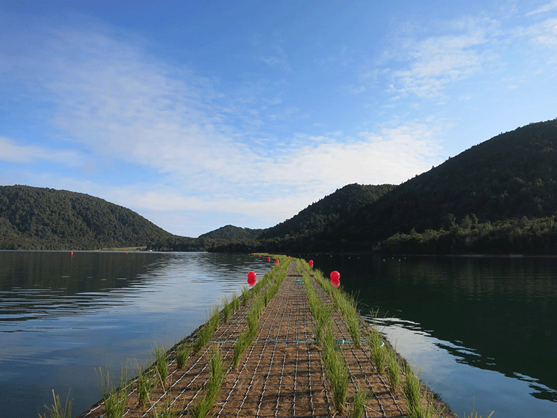 Wetland Module Nets 2